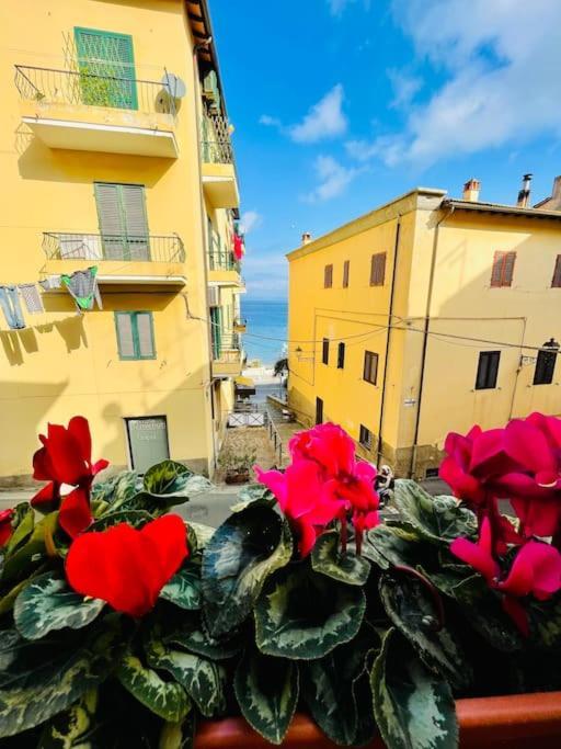 Maddy House - 50 Mt Dal Mare Villa Porto Santo Stefano  Buitenkant foto
